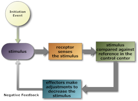 input sensory example receive