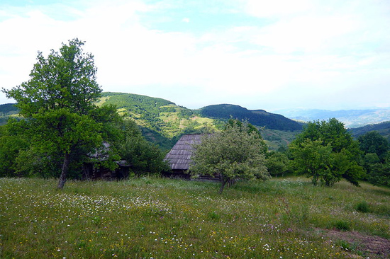 Biodiversity in a European landscape.