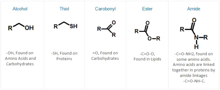 Carbonyl Group Polarity 117