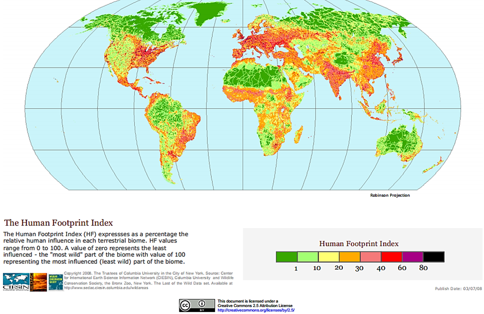 Humanity’s impact on Earth’s ecosystems.
