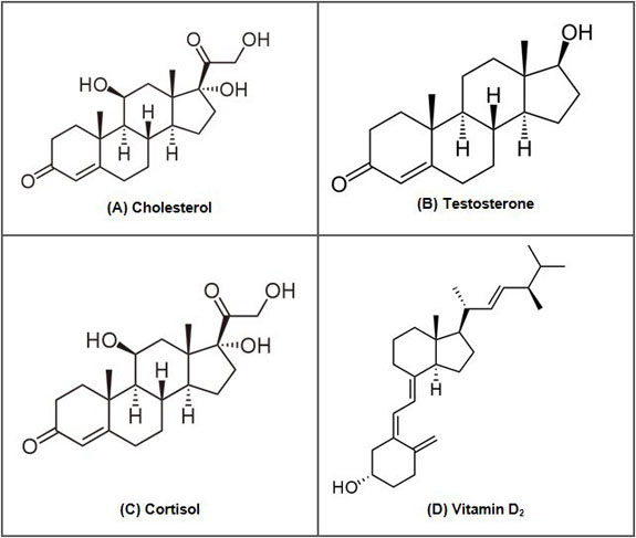 Types of Steroids