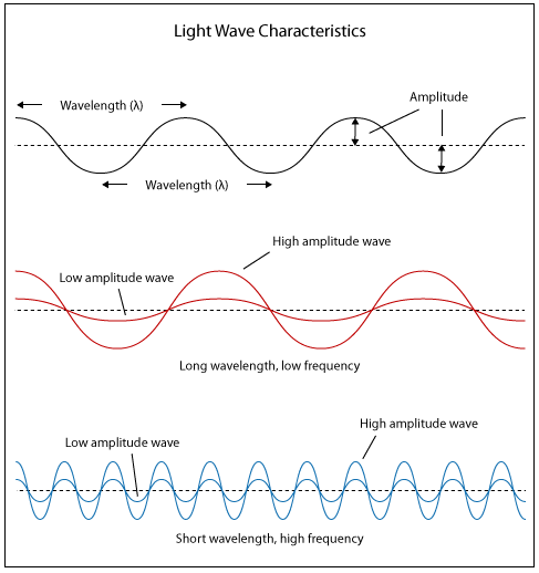 Light waves with shorter frequencies are perceived as more blue than red; light waves with higher intensity are seen as brighter.