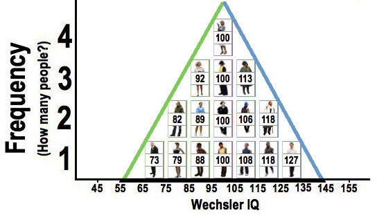 Pictures of 16 people in the sample arranged on a graph with Wechsler IQ scores along the x-axis and Frequency along the y-axis. Highlighting how distribution has the shape of a triangle.