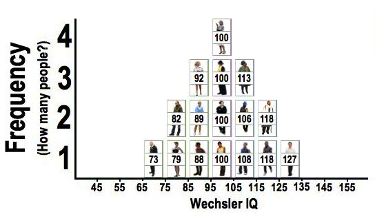 Pictures of 16 people in the sample arranged on a graph with Wechsler IQ scores along the x-axis and Frequency along the y-axis.