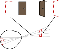 Example of Perceptual Constancy