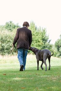 Man and dog walking in a park.