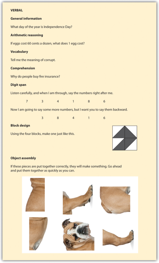 Sample Items from the Wechsler Adult Intelligence Scale (WAIS)