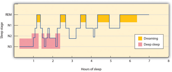 Stages of Sleep