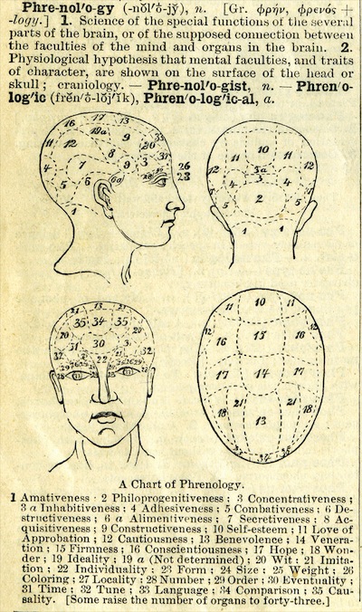 This definition of phrenology with a chart of the skull appeared in Webster’s Academic Dictionary, circa 1895.