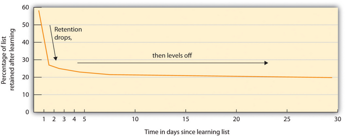 Hermann Ebbinghaus found that memory for information drops off rapidly at first but then levels off after time.