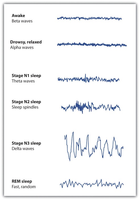 EEG Recordings of Brain Patterns