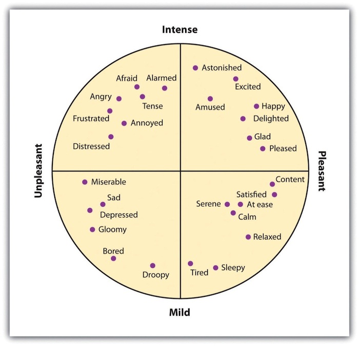 Figure is a circle sectioned off into quadrants with a variety of secondary emotions located within each quadarant.