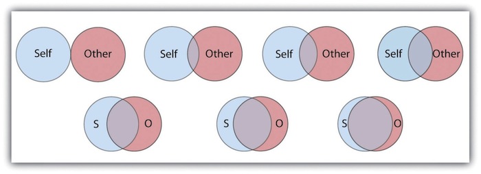 The Inclusion of Other in the Self Scale