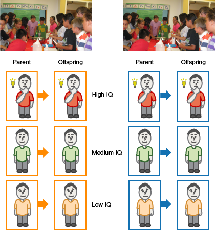 Image shows orange group and blue group with IQ ranges from high to low.