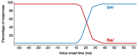 Actual Results. When adults hear speech sounds that gradually change from one phoneme to another, they do not hear the continuous change; rather, they hear one sound until they suddenly begin hearing the other. In this case, the change is from /ba/ to /pa/.
