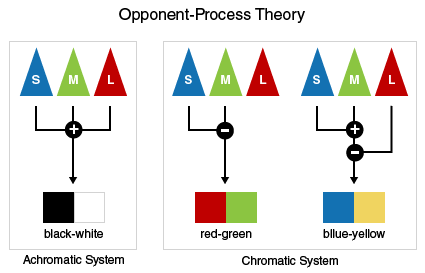 Opponent-Process Theory