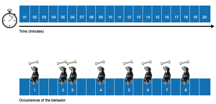 Continuous Reinforcement Schedule