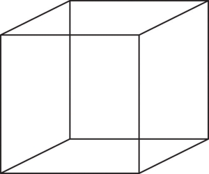 The Necker cube is an example of how the visual system creates perceptions out of sensations. We do not see a series of lines, but rather a cube. Which cube we see varies depending on the momentary outcome of perceptual processes in the visual cortex.