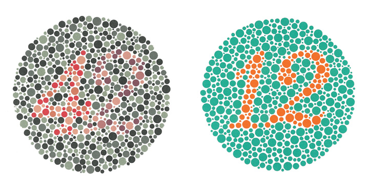 People with normal color vision can see the number 42 in the first image and the number 12 in the second (they are vague but apparent). However, people who are colorblind cannot see the numbers at all.