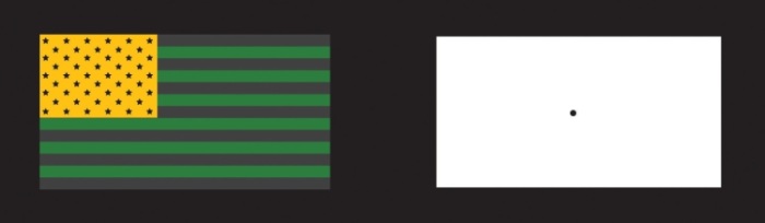 The presence of an afterimage is best explained by the opponent-process theory of color perception. Stare at the flag for a few seconds, and then move your gaze to the blank space next to it. Do you see the afterimage?