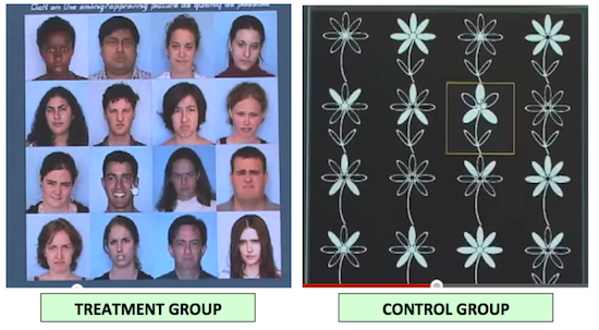 Treatment group image is a set of pictures of people with different facial expressions. The control group image consists of drawings of flowers with different combinations of filled in petals.