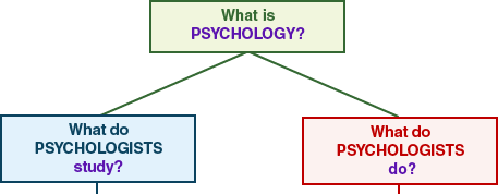 What is Psychologists study and do?