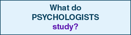 What do psychologists study?