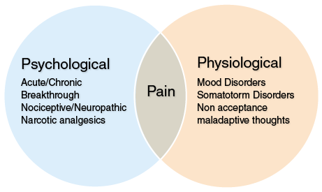 Venn diagram showing the experinece of pain has both psychological and physiological components.
