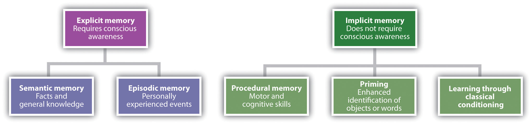 Implicit Learning Works Differently >> Memories As Types And Stages Intro To Psychology Implicit Learning Works Differently >> Memories As Types And Stages Intro To Psychology